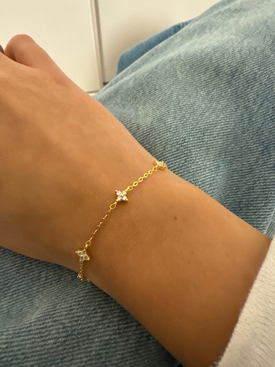 ביקורת של לקוחה